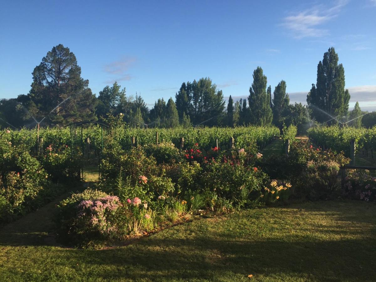 'The Crib' On Legacy Vineyard Villa Alexandra Rom bilde